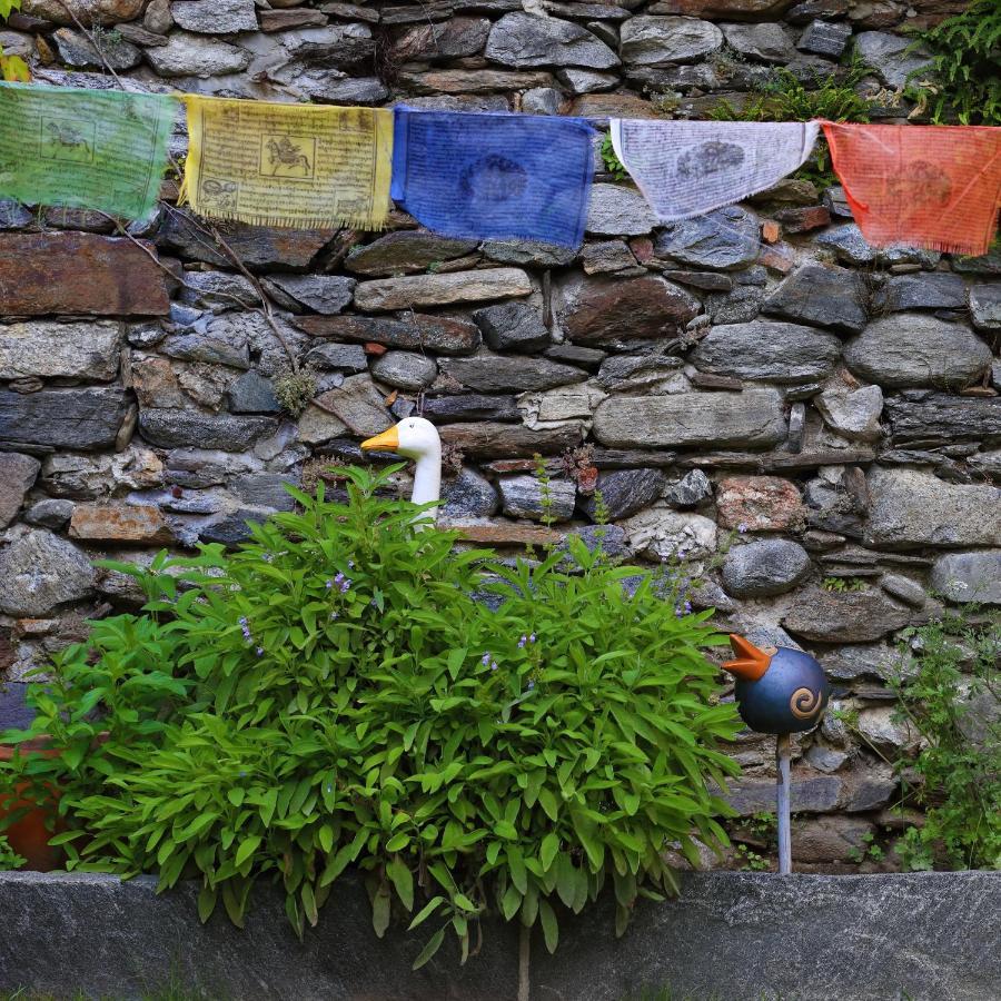 B&Borgo Ascona Bagian luar foto